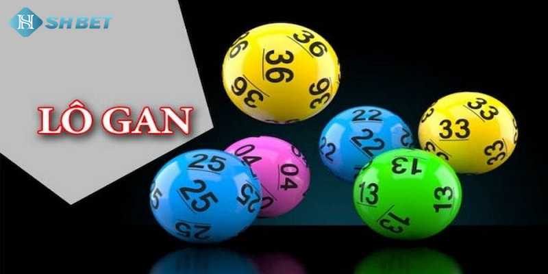 Banner www.talentsheaven.edu.vn