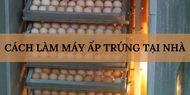 Banner www.talentsheaven.edu.vn