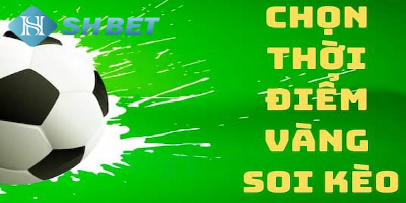 Banner www.talentsheaven.edu.vn