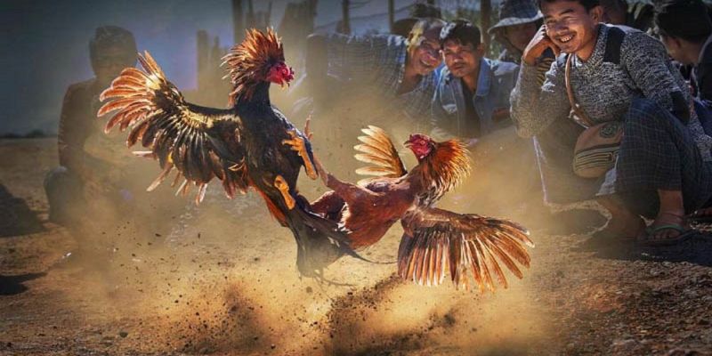 Banner www.talentsheaven.edu.vn