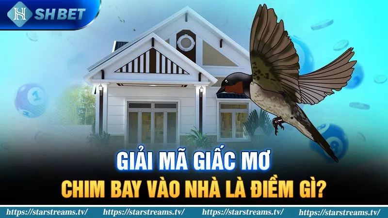 Banner www.talentsheaven.edu.vn