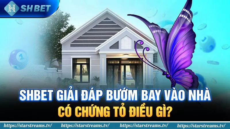 Banner www.talentsheaven.edu.vn