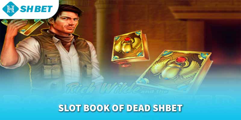 Banner www.talentsheaven.edu.vn