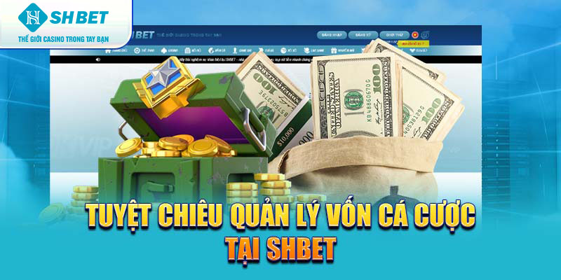 Banner www.talentsheaven.edu.vn